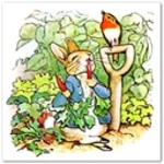 the tale of peter rabbit android application logo